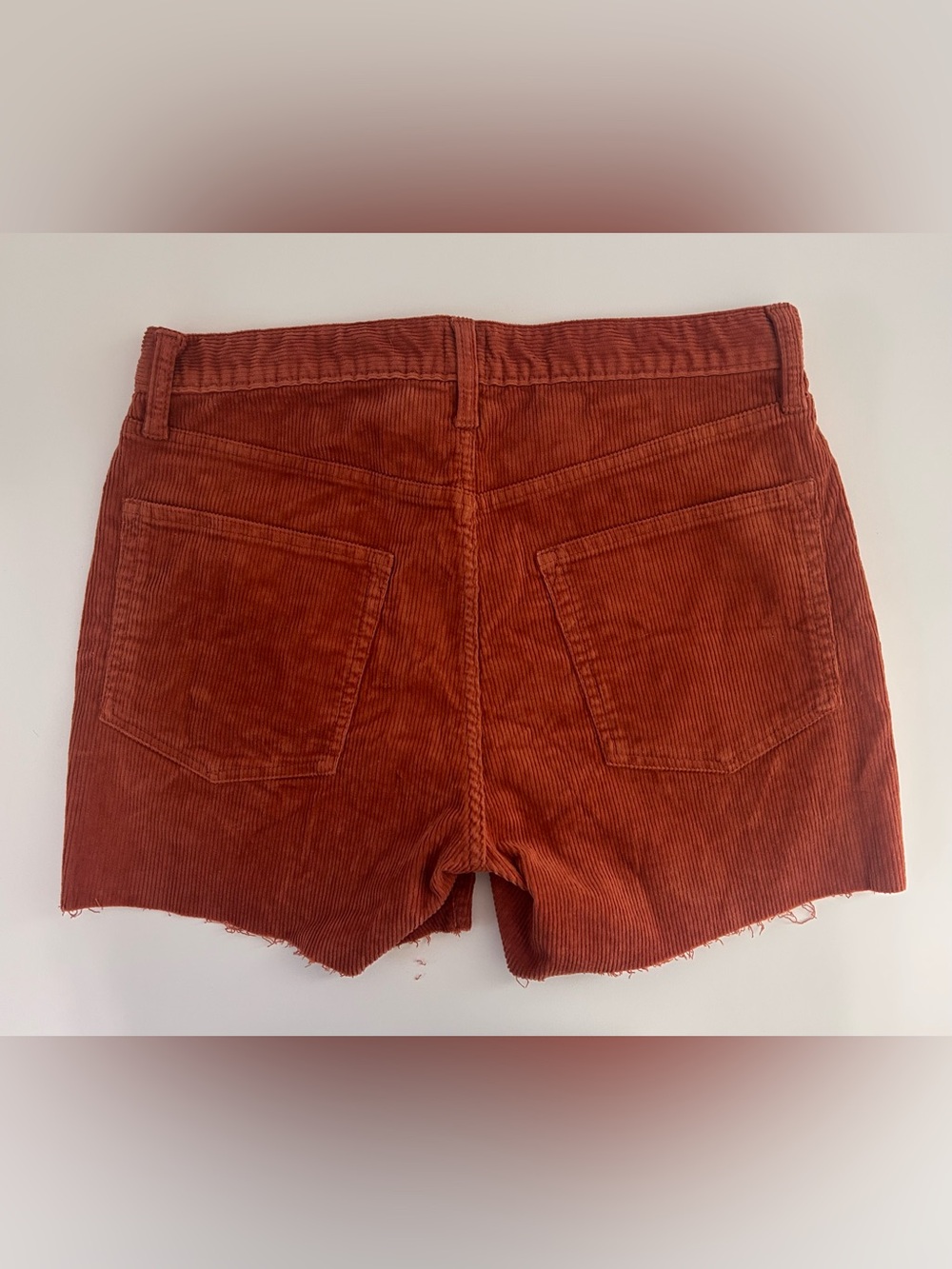 GAP Rust Corduroy Women's Shorts 6/28 NWOT - Picture 3 of 7